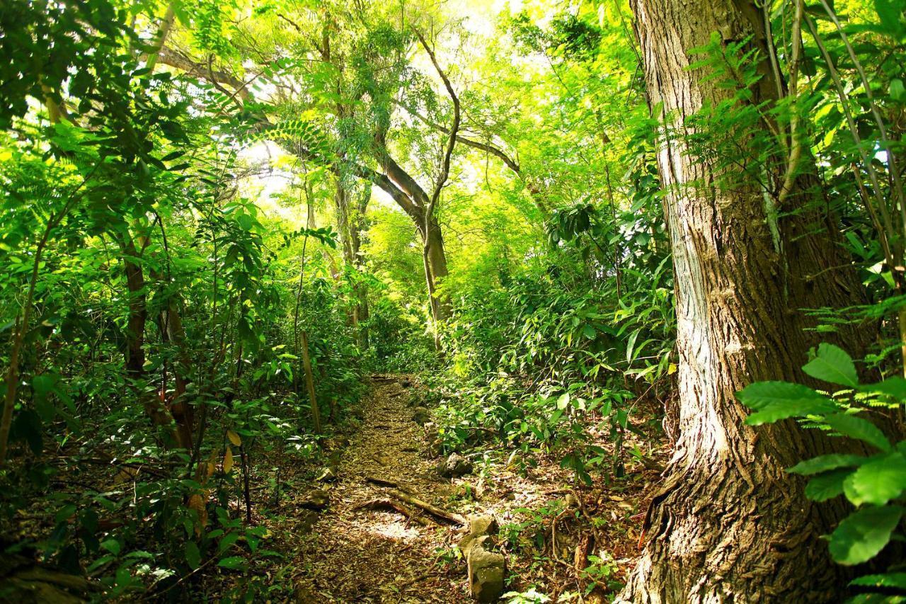 Pousada Do Vale Fernando de Noronha Exterior foto