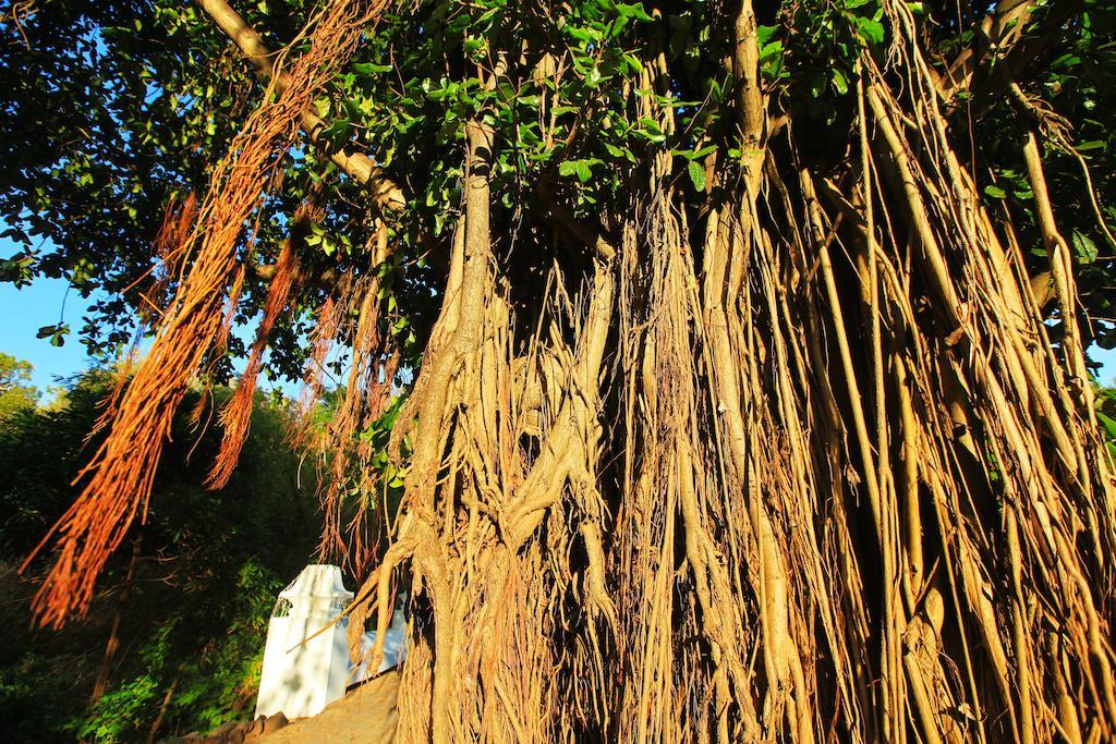 Pousada Do Vale Fernando de Noronha Exterior foto